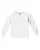 15450.webp
