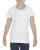 154636.webp