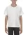 154706.webp