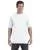 15541.webp