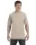 15542.webp
