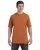 15544.webp