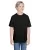 155587.webp