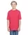 155592.webp