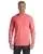 15649.webp