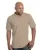 157774.webp