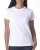 158206.webp