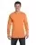 15907.webp