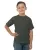 159215.webp
