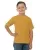 159223.webp