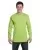 15955.webp