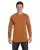 15988.webp