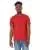161671.webp