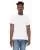 161695.webp