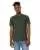161713.webp