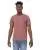 161725.webp