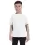 16188.webp