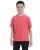 16209.webp