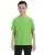 16217.webp