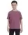16225.webp