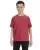 16231.webp