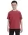 16235.webp