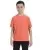 16236.webp
