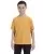 16237.webp