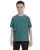 16239.webp