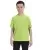 16240.webp