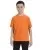 16245.webp