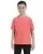 16246.webp
