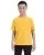 16248.webp