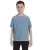 16254.webp