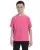 16256.webp
