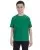 16260.webp