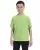 16261.webp