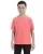 16264.webp