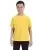16266.webp