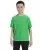 16268.webp
