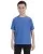16269.webp