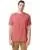163692.webp