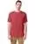 163704.webp