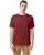 163752.webp