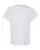 16785_f_fl.webp