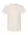 16802_f_fl.webp