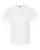 16813_f_fl.webp