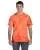 16895.webp