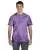 16903.webp