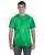 16906.webp